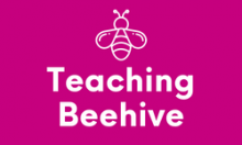 Teaching Beehive icon