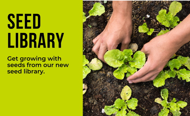 Seed Library - Get growing with seeds from our new seed library.